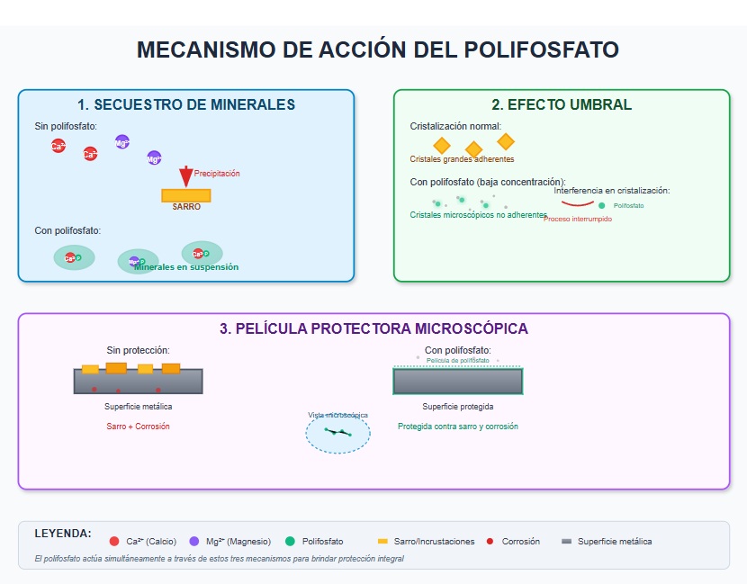 Mecanismo de Acción